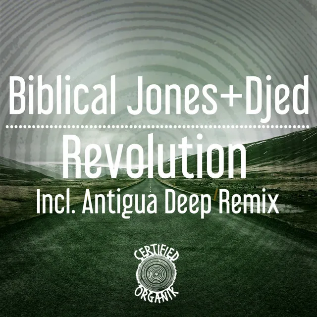 Revolution - Antigua Deep Instrumental Remix