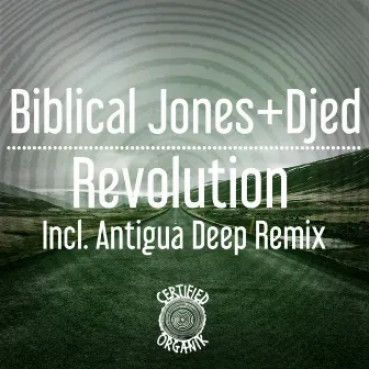 Revolution by Biblical Jones