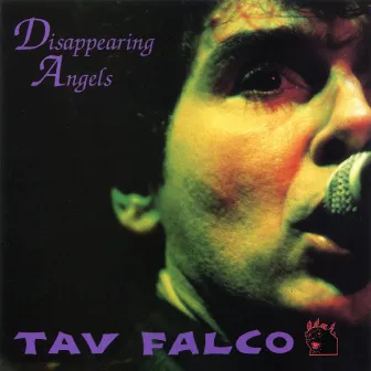 Disappearing Angels by Tav Falco