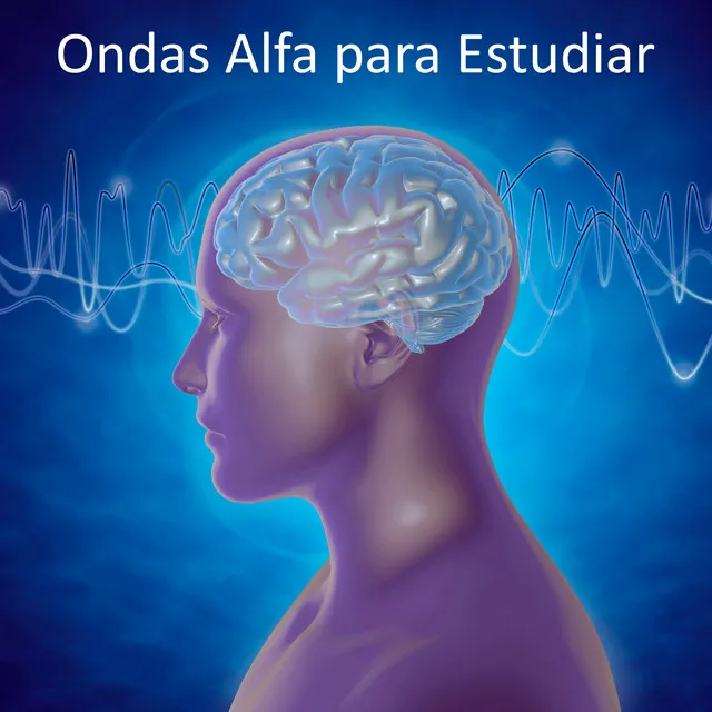 Ondas Alfa para Memorizar