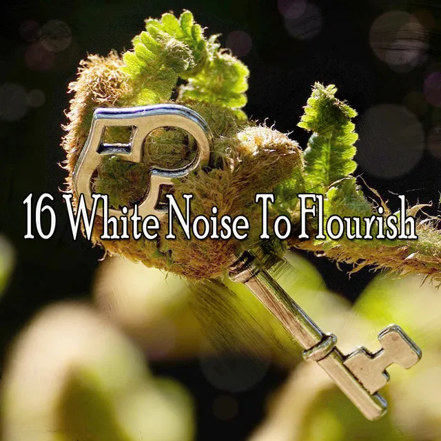 16 White Noise To Flourish