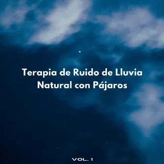 Terapia De Ruido De Lluvia Natural Con Pájaros Vol. 1 by Relajante Zen Spa