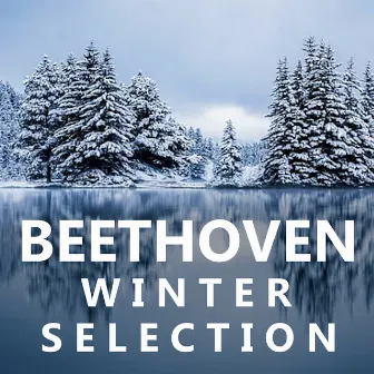 Beethoven Winter Selection by Bernardo Kuznetsov