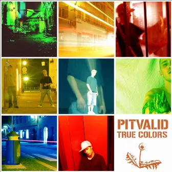 True Colors by Pitvalid