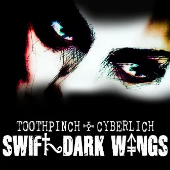 Swift Dark Wings (Extended Mix) by Toothpinch