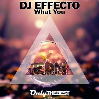 What You by Dj Effecto