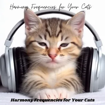 Harmony Frequencies for Your Cats: Solfeggio Healing for Stress Relief, Anxiety Removal by Cat Music Dream