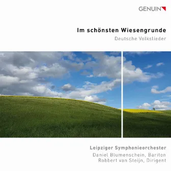 Im schönsten Wiesengrunde by Leipziger Symphonieorchester