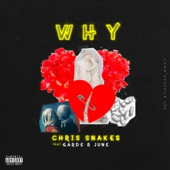 Why by Chris Snakes