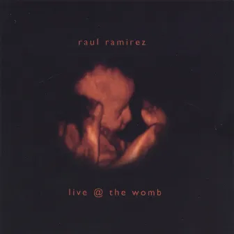 Live @ The Womb by Raul Ramirez