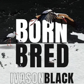 Born Bred by Ivason Black