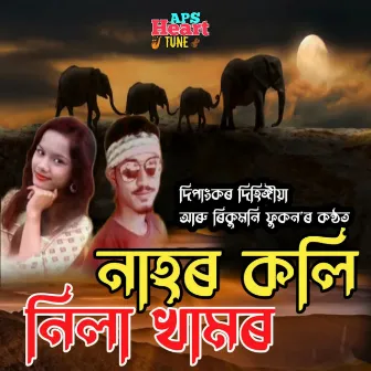 Nila Khamor (Nahor Koli) by Dipankar Dihingia