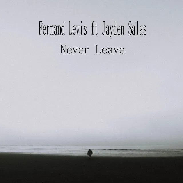 Never Leave