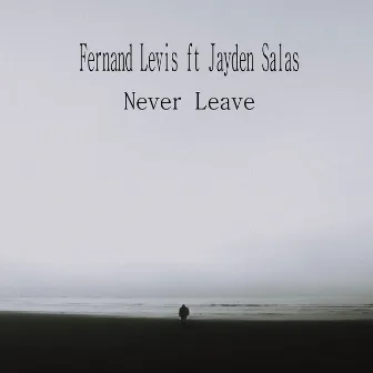 Never Leave by Jayden Salas