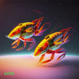 orbit by Fresh Gambas