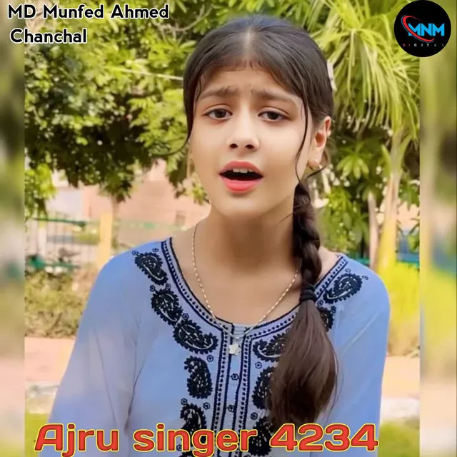 Ajru singer 4234