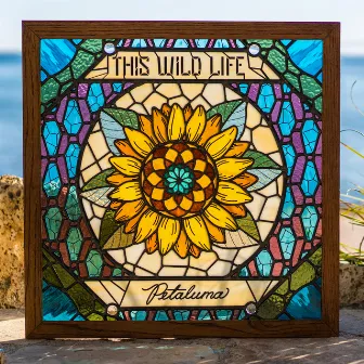 Petaluma by This Wild Life