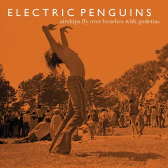 Airships Fly Over Beaches With Godetias (Radio Edit) by Electric Penguins