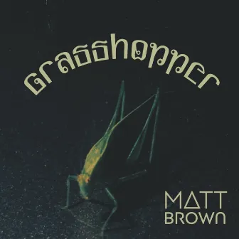 Grasshopper by Matt Brown