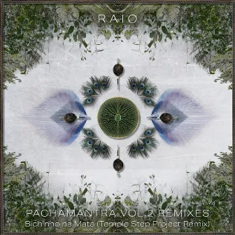 Bichinho na Mata (Temple Step Project Remix) by Raio