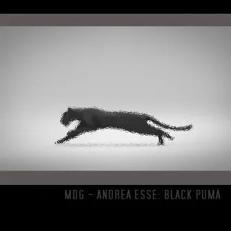 Black Puma by MDG