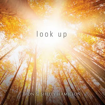 Look Up by Ron Hamilton