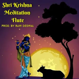 Shri Krishna Meditation Flute by Raw Deswal