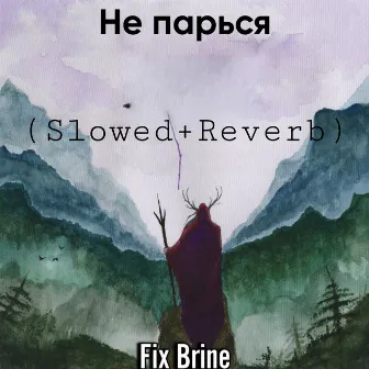 Не парься (Slowed+Reverb) by Fix Brine