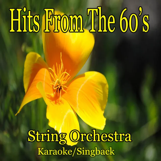 Hits from the 60's (Instrumental)