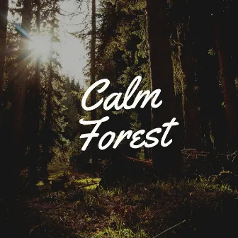 Calm Forest by Jox Talay