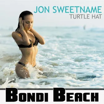 Turtle Hat by Jon Sweetname