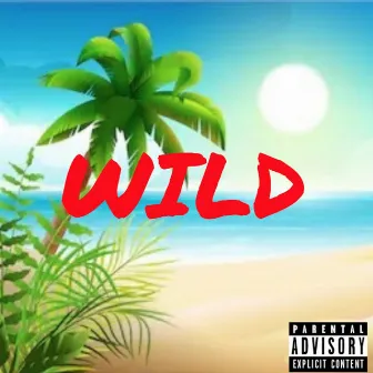 Wild by Koan