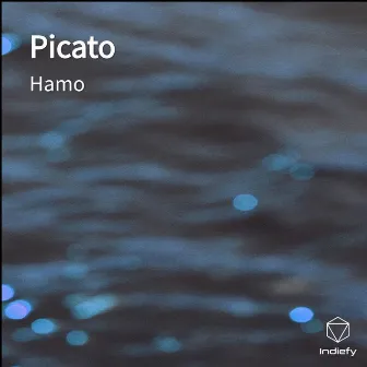 Picato by Hamo