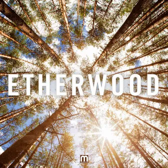 Etherwood by Etherwood