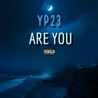 ARE YOU by Yp23