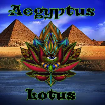 Lotus by Aegyptus