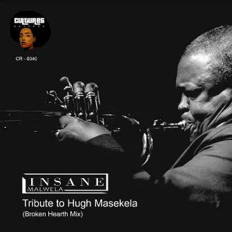 Tribute to Hugh Masekela (Broken Hearth Mix) by Insane Malwela