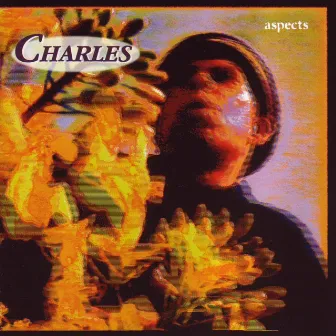 Aspects by Charles