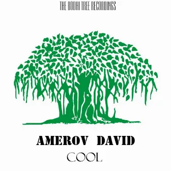 Cool by Amerov David