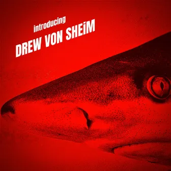 Introducing by Drew Von Sheim