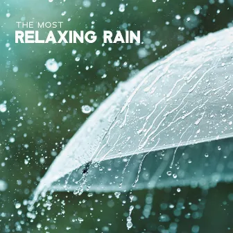 The Most Relaxing Rain: White Noise Sounds & Music To Chill | Sleep, Work, Study, Meditate by Clare - Wellness Coach