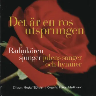 Det är en ros utsprungen by Swedish Radio Choir