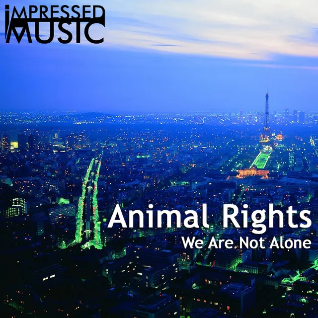 We Are Not Alone - Original Mix