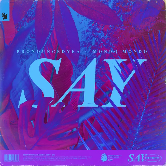 Say - Extended Mix