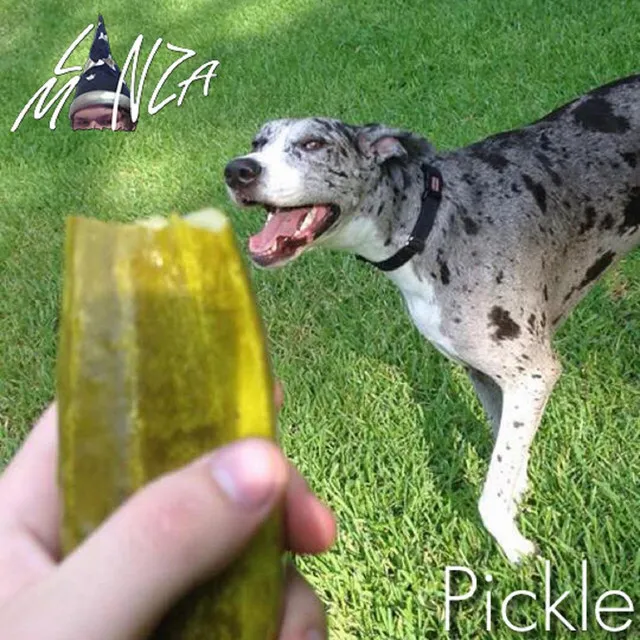 Pickle