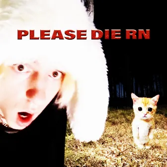 PLEASE DIE RN by Kiid katze