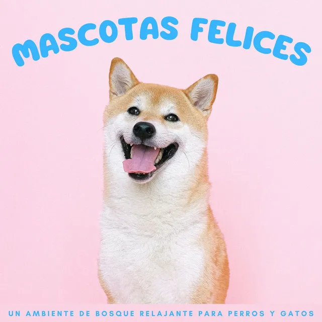 Mascotas Felices: Un Ambiente De Bosque Relajante Para Perros Y Gatos