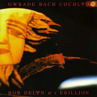 Gwbade Bach Cochlyd by Bob Delyn A'R Ebillion