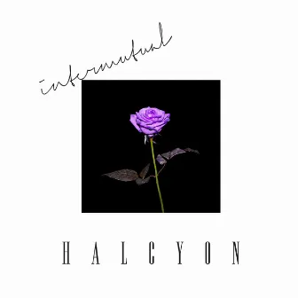 Intermutual by HALCYON