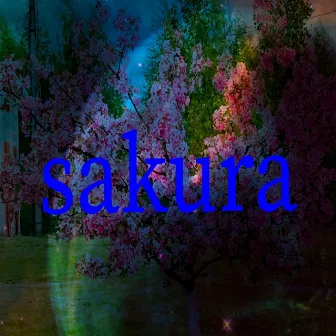 Sakura by 